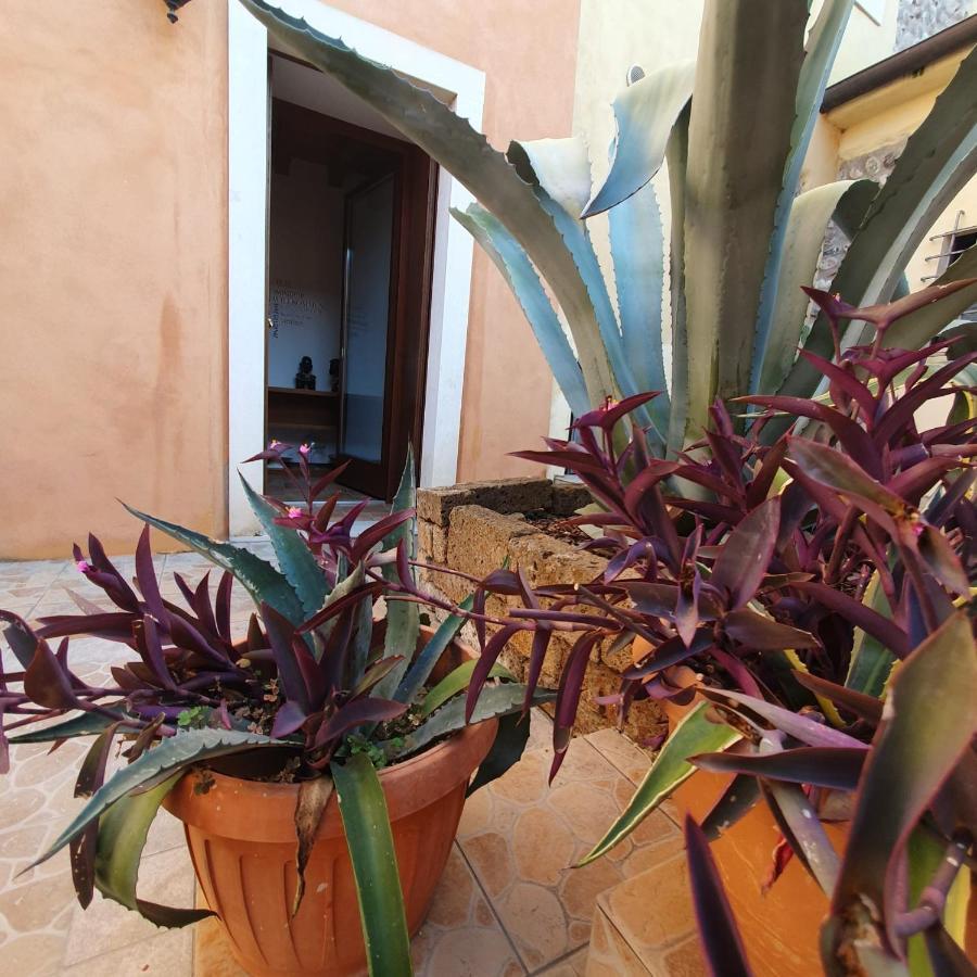 Gesuitirooms Sona Esterno foto